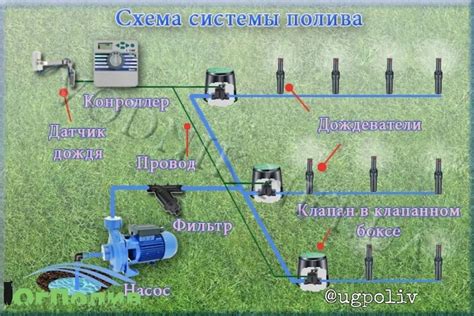 Выбор и настройка системы автополива