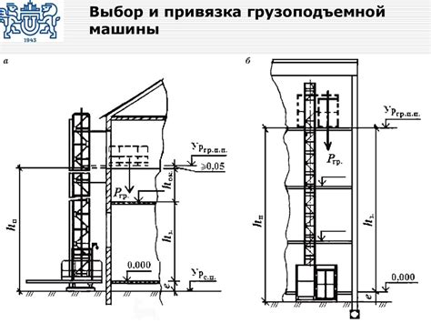 Выбор и привязка лоз