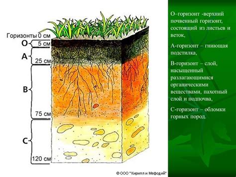 Выбор и укладка почвенного слоя