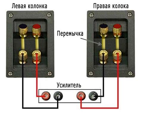 Выбор колонки для подключения