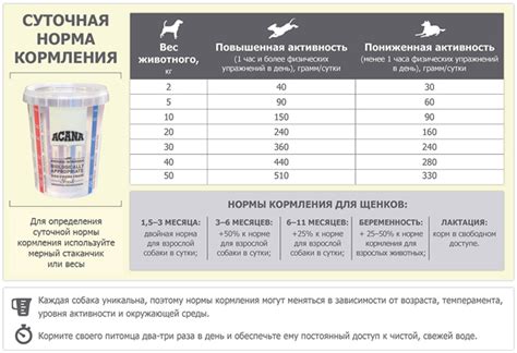 Выбор корма и место для кормления