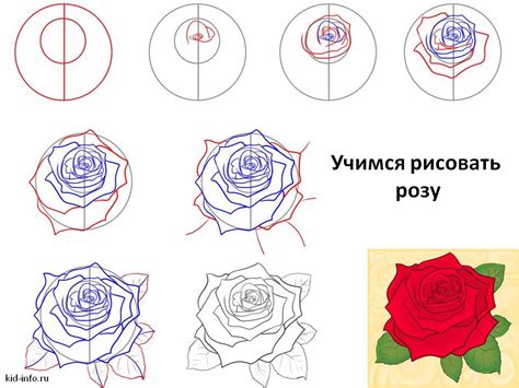 Выбор материалов для рисования розы