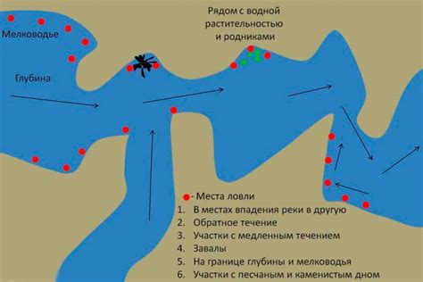 Выбор места для афк рыбалки