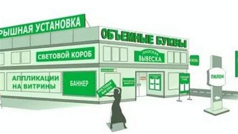 Выбор места для размещения тилландсий