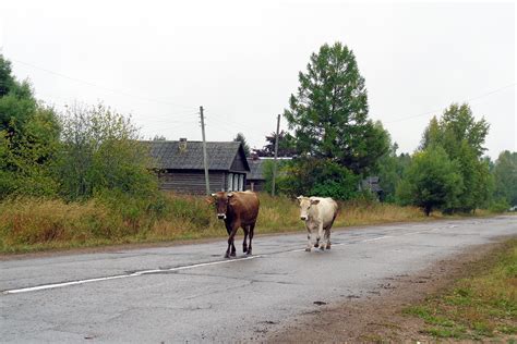 Выбор места для строительства деревни