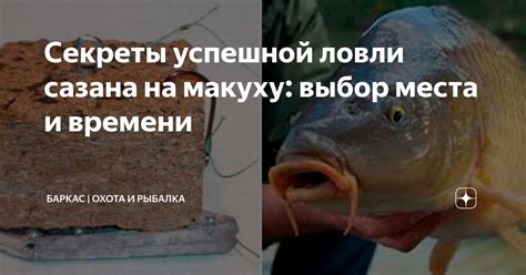 Выбор места и времени для ловли на кастинговую сеть