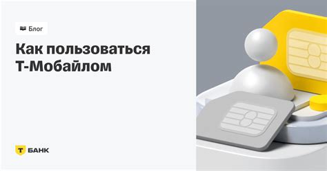 Выбор мобильного оператора за границей для подключения Алисы