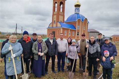 Выбор молодых саженцев тутовника