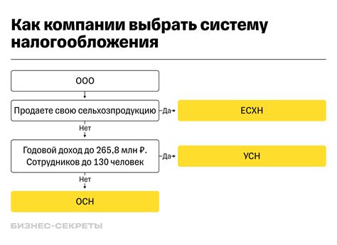 Выбор налогообложения: УСН или ОСН