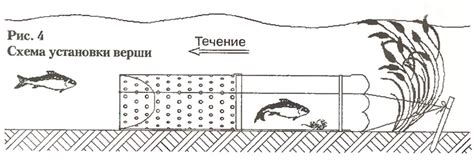 Выбор озера для установки верши