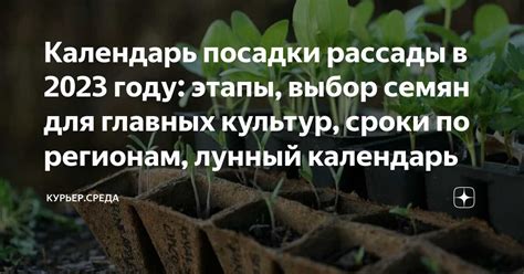 Выбор оптимального времени для посадки рассады