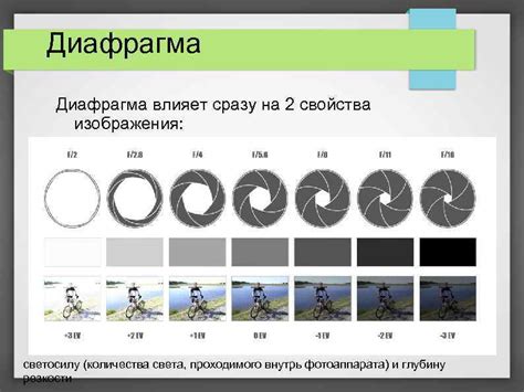 Выбор оптимальной диафрагмы для фотографий