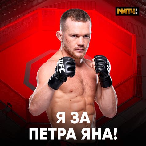 Выбор подписки на UFC ТВ