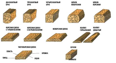 Выбор подходящего дерева для изготовления доски