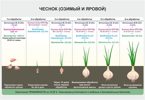 Выбор подходящего места для разведения овец