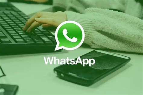 Выбор подходящего приложения для автоматической рассылки сообщений в WhatsApp