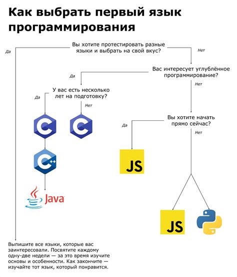 Выбор подходящего языка программирования и фреймворка