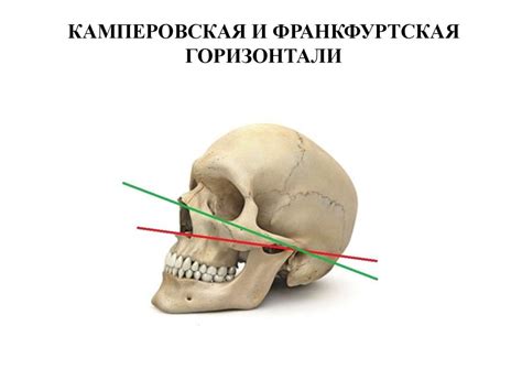 Выбор позиции рта