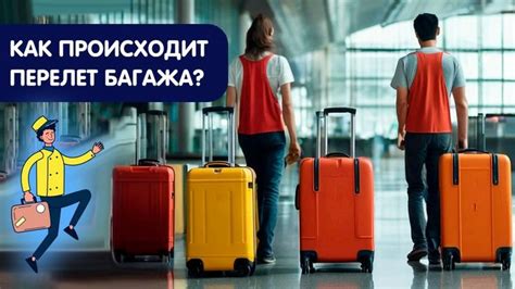 Выбор правильного багажа