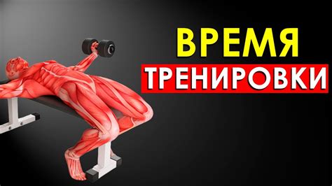 Выбор правильного времени и длительности тренировки