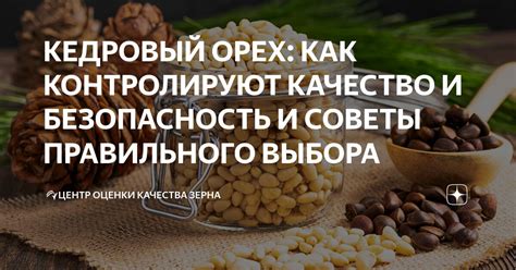 Выбор правильного зерна