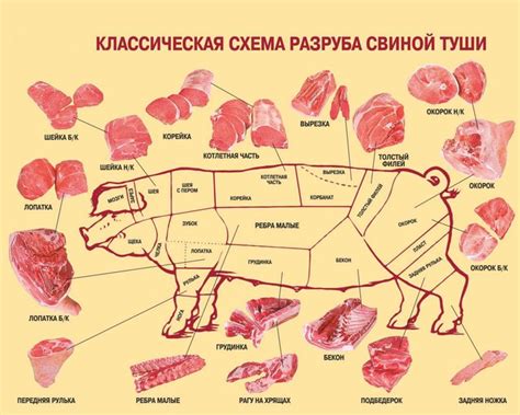 Выбор правильного свиного мяса