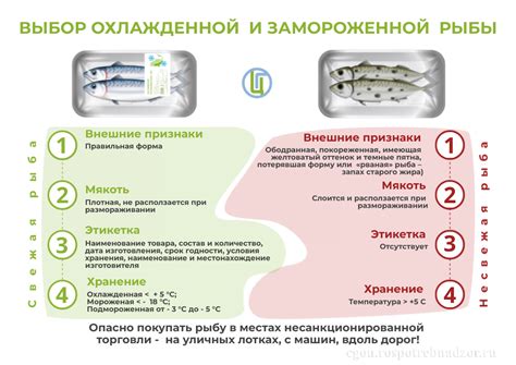 Выбор правильной упаковки для замороженной рыбы