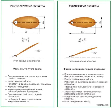 Выбор правильной формы лепестка