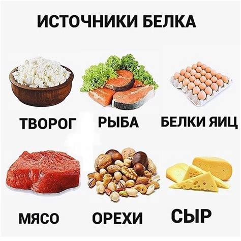 Выбор продуктов с высоким содержанием белка