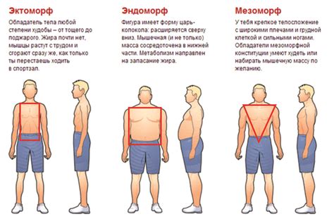 Выбор размера для разных типов телосложения