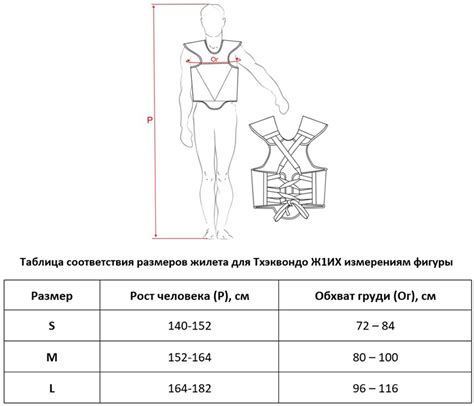 Выбор размера жилета