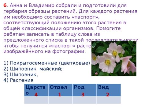 Выбор растений для гербария