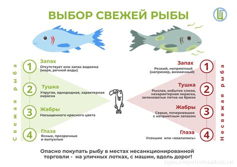 Выбор свежей рыбы и прядение для юкули