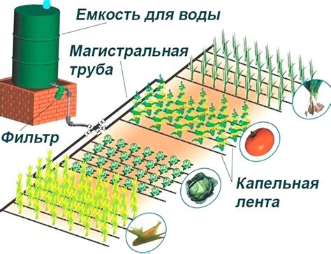 Выбор системы полива для теплицы