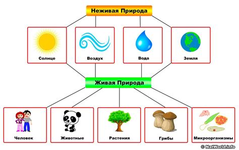 Выбор темы: элементы природы или объекты быта