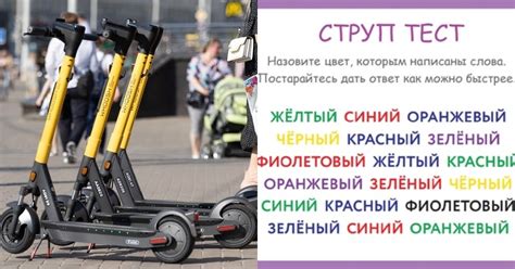 Выбор точек проката самокатов