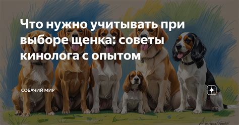 Выбор транзистора: что учитывать