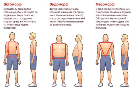 Выбор формы одежды