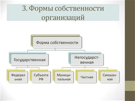 Выбор формы собственности и наименования компании