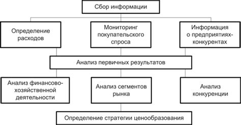 Выбор целей и определение стратегии ДСО