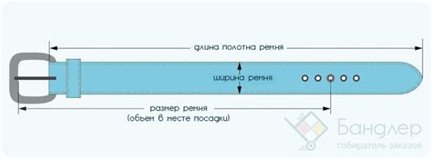 Выбор ширины и длины ремня