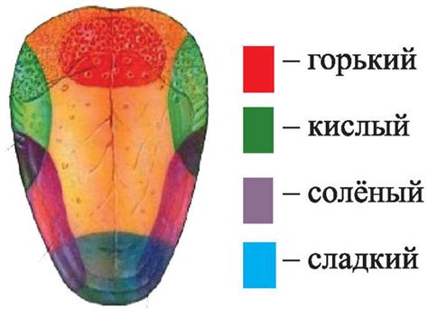 Выбор языка меню и временной зоны