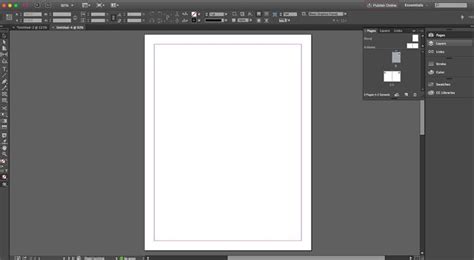 Выбор InDesign в качестве основного инструмента