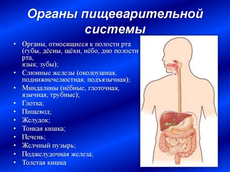 Выведение из строя пищеварительной системы