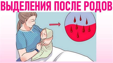 Выделения после родов: