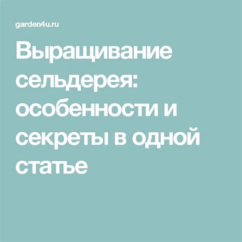 Выращивание агаты: особенности и секреты