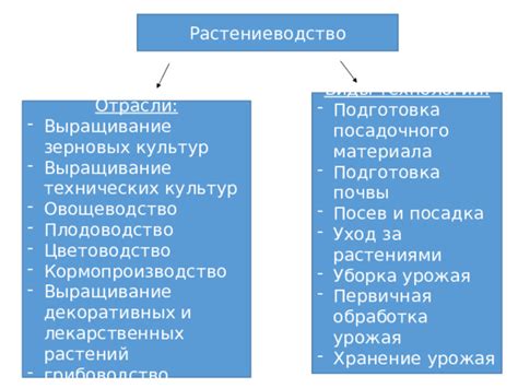 Выращивание и уборка растений: подробности процесса