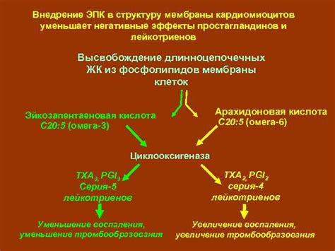 Высвобождение простагландинов