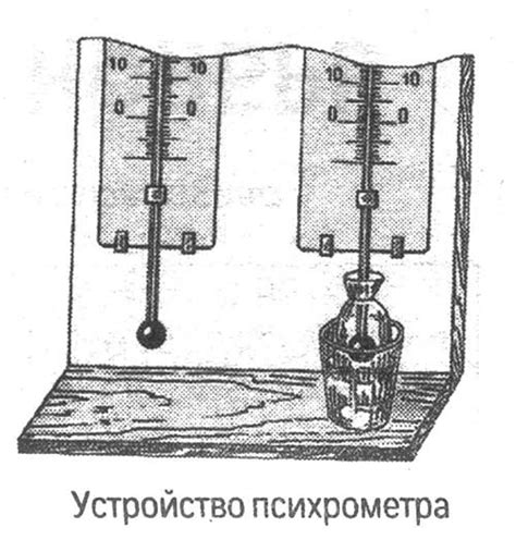 Высокая влажность воздуха в погребе