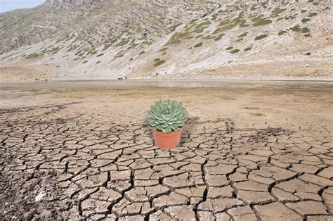 Высокая влажность почвы и достаточное количество воды